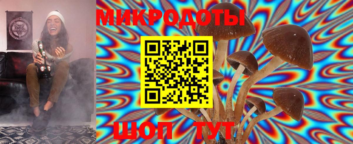 Пушкино  Галлюциногенные грибы MAGIC MUSHROOMS  Вход с VPN 